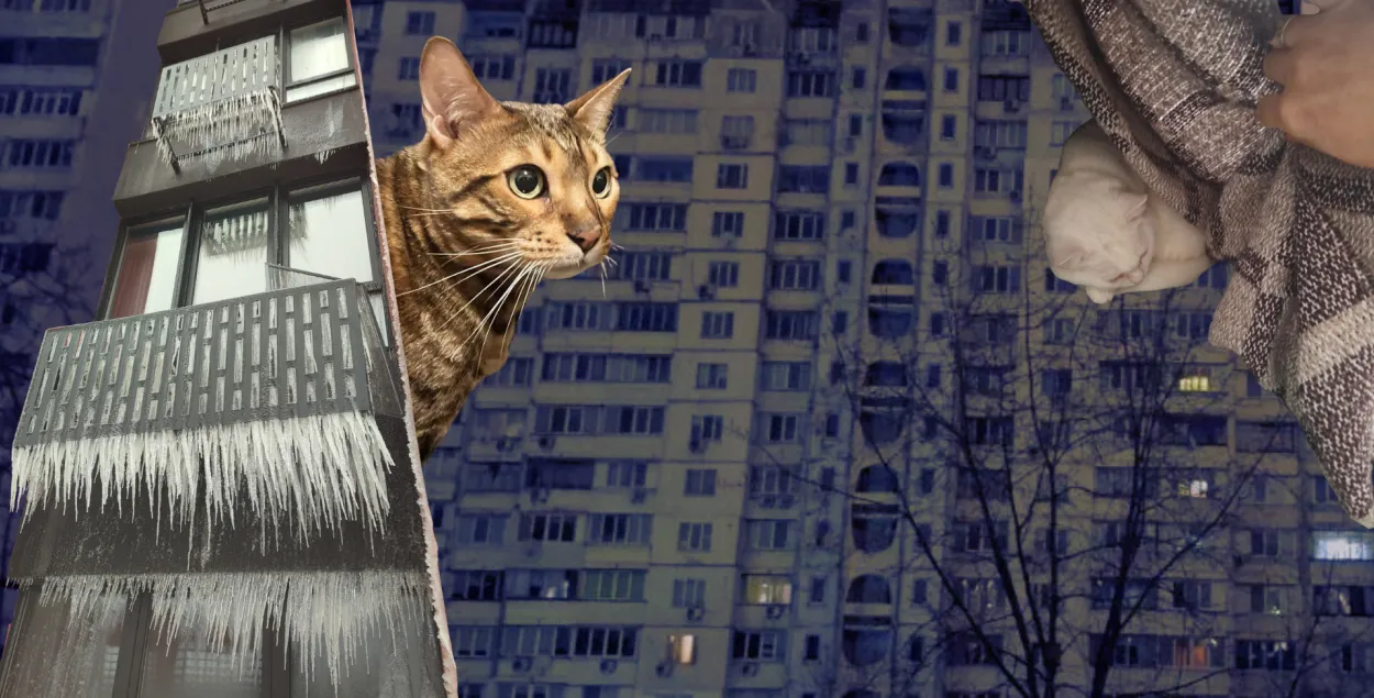 “Мы погружаемся в блэкаут, только не так быстро, как это было в 40-х, когда люди топили печи мебелью и книжками”
