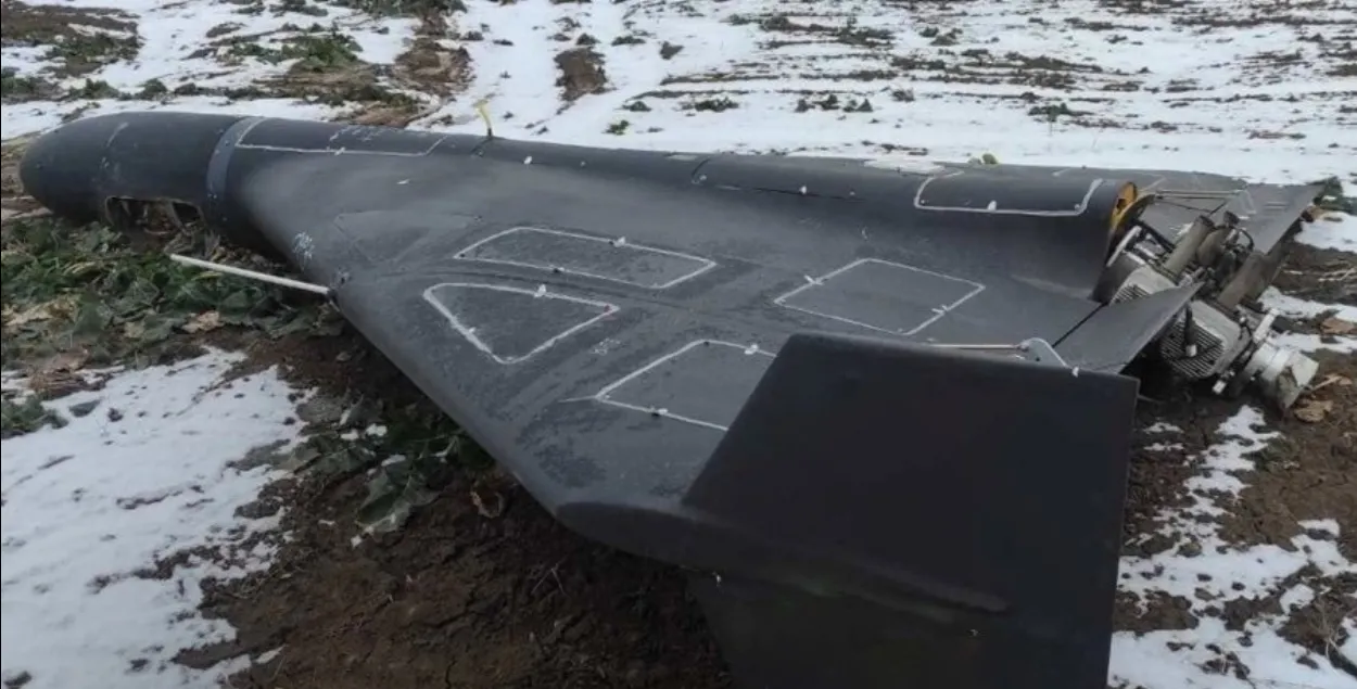 Дрон, иллюстративное фото
