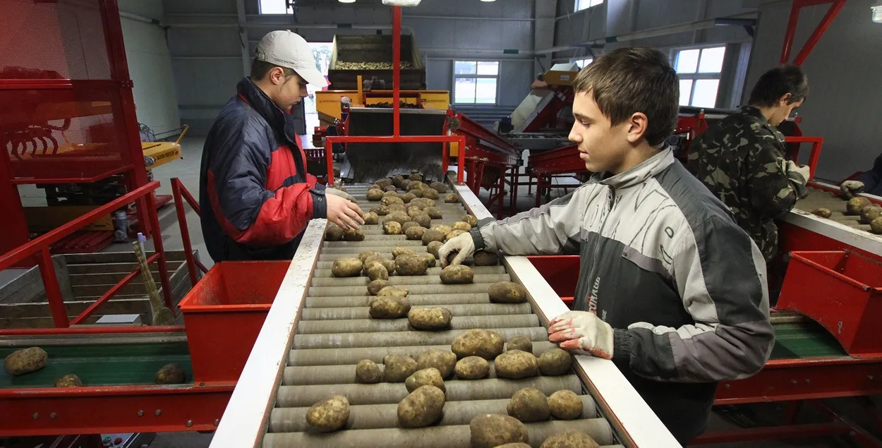 Што прапануе Мінсельгасхарч?
