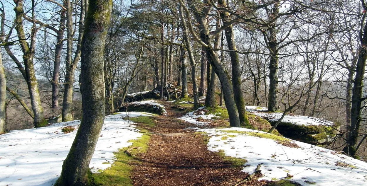 В Беларуси прогнозируют плюсовые температуры
