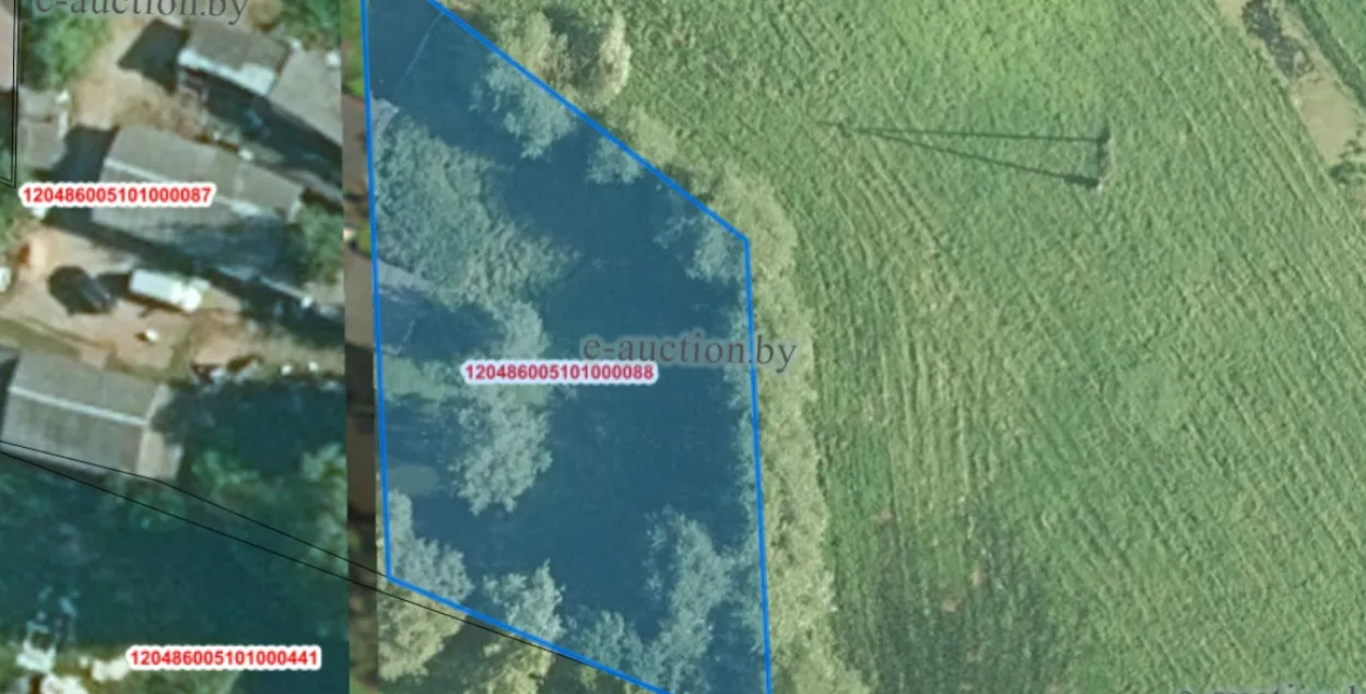 Участок, который продают на аукционе
