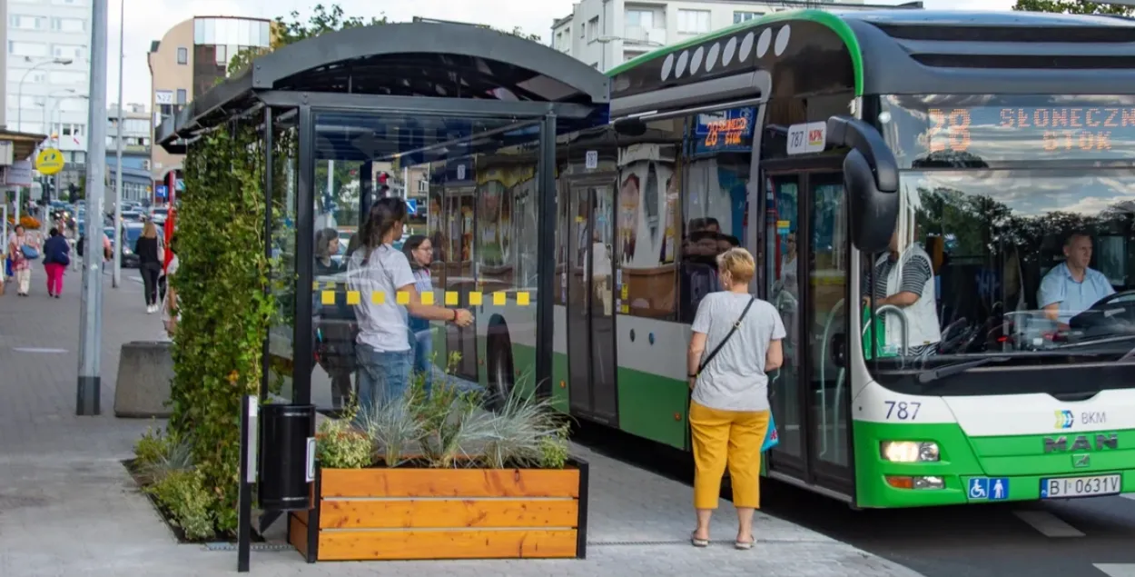 Автобус, иллюстративное фото
