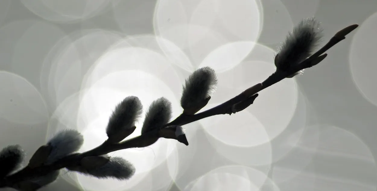 Вясна, ілюстрацыйнае фота
