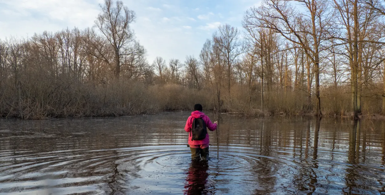 Разлив Припяти