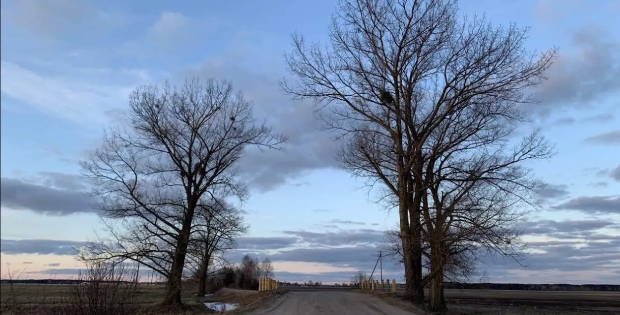 Весна, иллюстративное фото
