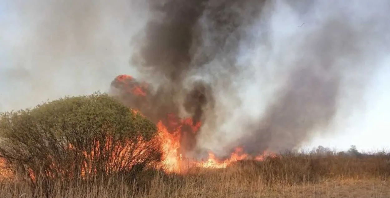 Пажар у Столінскім раёне
