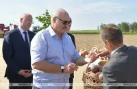 Лукашенко во время посещения Смолевичского района в конце лета / БЕЛТА​