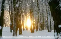 Зима в Беларуси / БЕЛТА