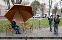 Надёжный зонтик / БЕЛТА​