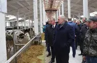 Лукашенко во время посещения хозяйства &quot;Купаловское&quot; / president.gov.by​