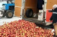 Перехваченные яблоки уничтожили / ursn.spb.ru​