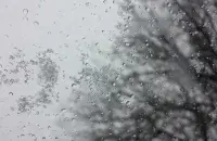 Мокры снег сіноптыкі абяцаюць днём па паўночнай частцы краіны