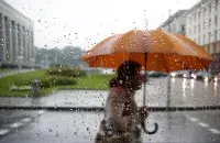Дождь в Минске​ / Минск-Новости