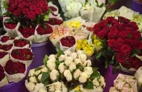 В России озабочены поставками цветов из Беларуси / из архива Еврорадио​