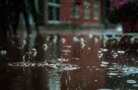 Первый день лета будет с дождями и грозами​&nbsp;/ pexels.com, Vlad Chețan