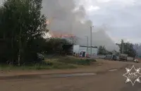 Пажар у Смалявіцкім раёне / кадр з відэа МНС
