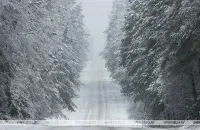 Зима в Беларуси / БЕЛТА​