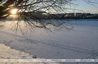 13 февраля в Беларуси будет мороз и сильный ветер / БЕЛТА​