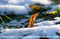 Кратковременный снег прогнозируют синоптики на 23 ноября / БЕЛТА​