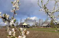 Весна в Беларуси / euroradio.fm