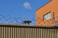 Турма
