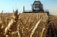 Grain harvest / Valery Matytsyn / TASS