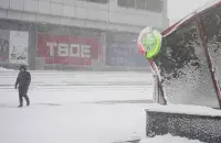 Гомельщина под снегом