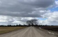 Весна, иллюстративное фото
