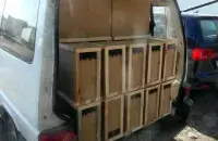 Пчол везлі ў мікрааўтобусе
