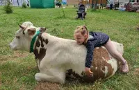 У ліпені ў Беларусі
