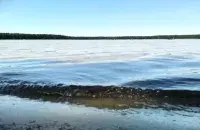 В августе в Беларуси
