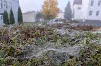 Осень, иллюстративное фото
