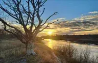 Утро на Полесье
