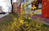 Весна в Беларуси
