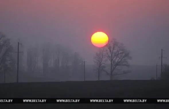 Фото: БЕЛТА