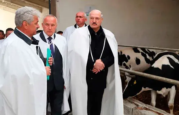 Александр Лукашенко на ферме / president.gov.by​