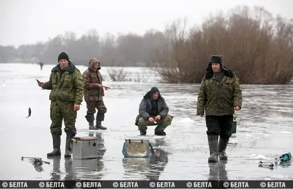 Снимок из архива. Фото: БЕЛТА