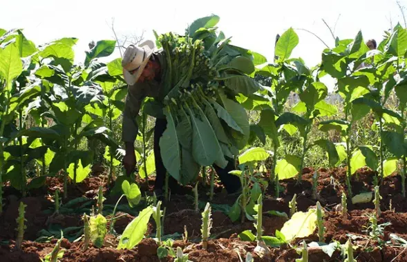 Фото: trendymen.ru