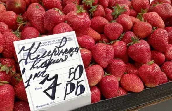 Пачаўся сезон клубніц і чарэшні! / Еўрарадыё
