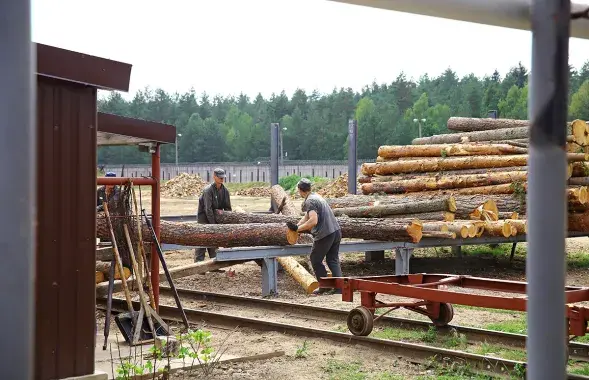 Шэраг мэблевых гігантаў фінансуе рэжым Лукашэнкі, закупляючы драўніну, нарыхтаваную ў калоніях Беларусі / intex-press
