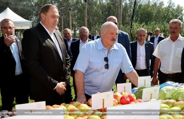 Александр Лукашенко и белорусские яблоки​ / president.gov.by