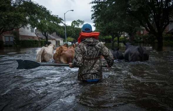 Фото: The New York Times 