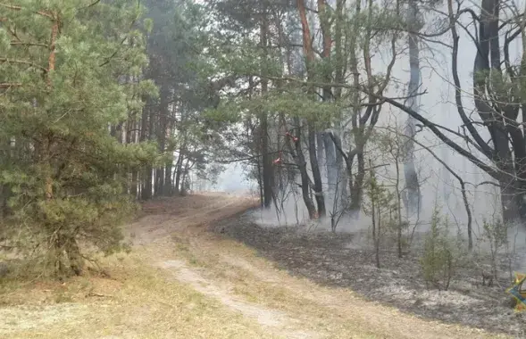 Пожар на окраине Бреста / brest.mchs.gov.by