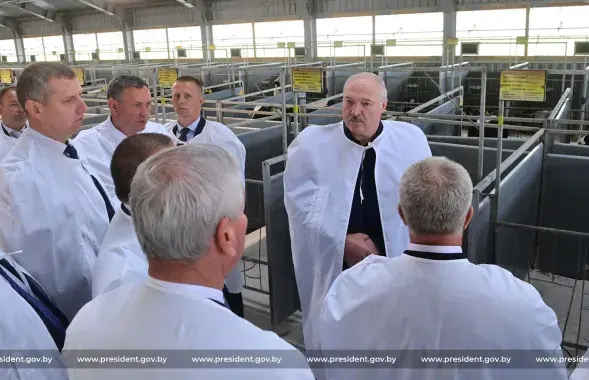 Александр Лукашенко в Оршанском районе​ / president.gov.by