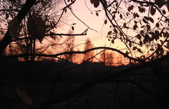Восень у Беларусі / Еўрарадыё
