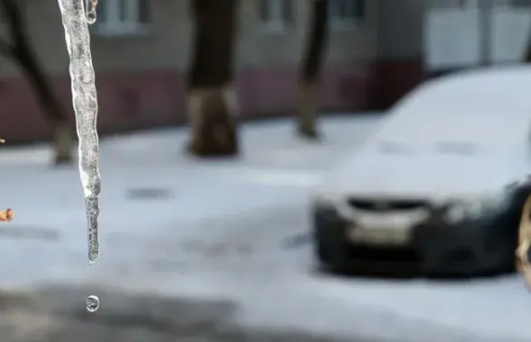 Зимой в Беларуси / БЕЛТА
