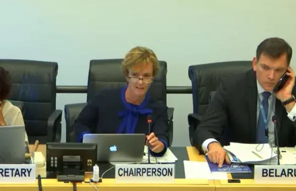 Во время заседания комитета ООН. Скриншот из видеотрансляции.​