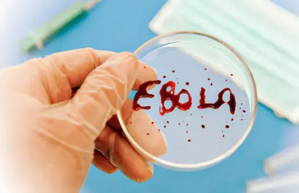 Верагоднасць, што вірус Эбола трапіць у Беларусь, "вельмі невысокая"