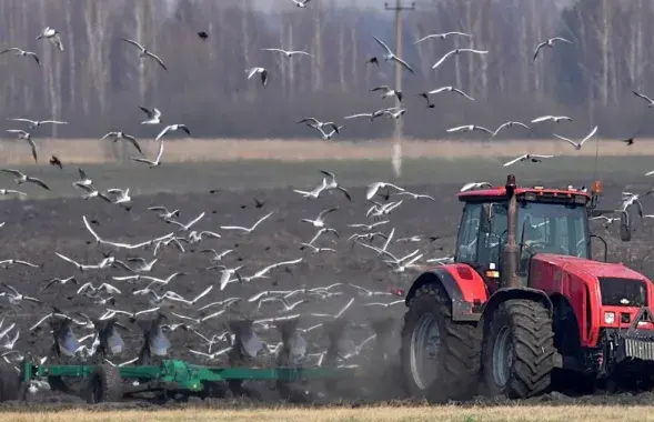 Игры Лукашенко и Путина могут закончиться проблемами в сельском хозяйстве&nbsp;/ Еврорадио
