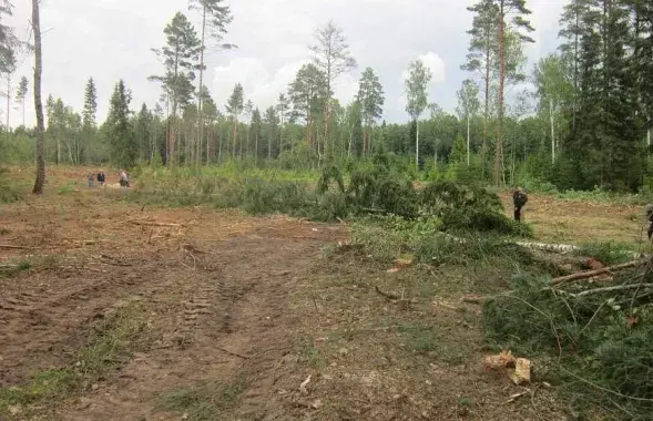 Место трагедии в Глубокском районе / Следственный комитет​